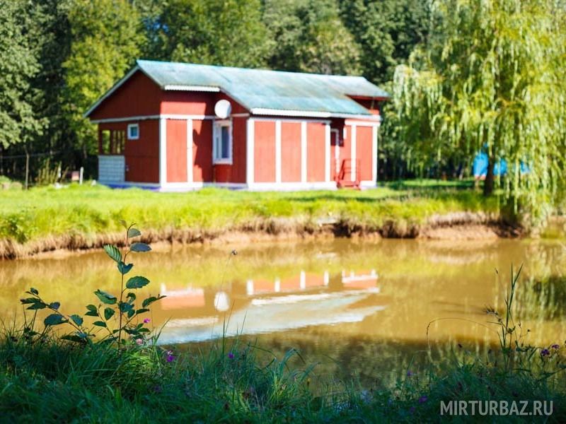 Боровик, Тверская область: фото 3
