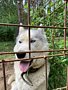 Фото 5 из отзыва об экопарке Лесной ключ