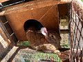 Фото 5 из отзыва об отельном комплексе Лесное