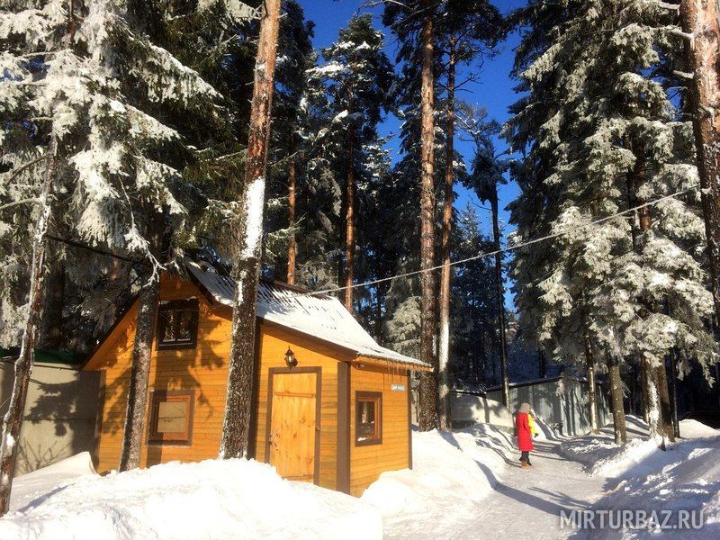 Солнечный бор, Вологодская область: фото 5