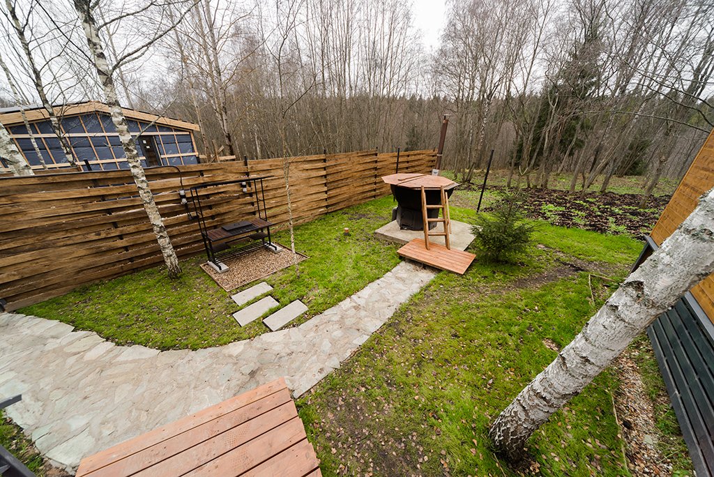 My little forest, Московская область: фото 3