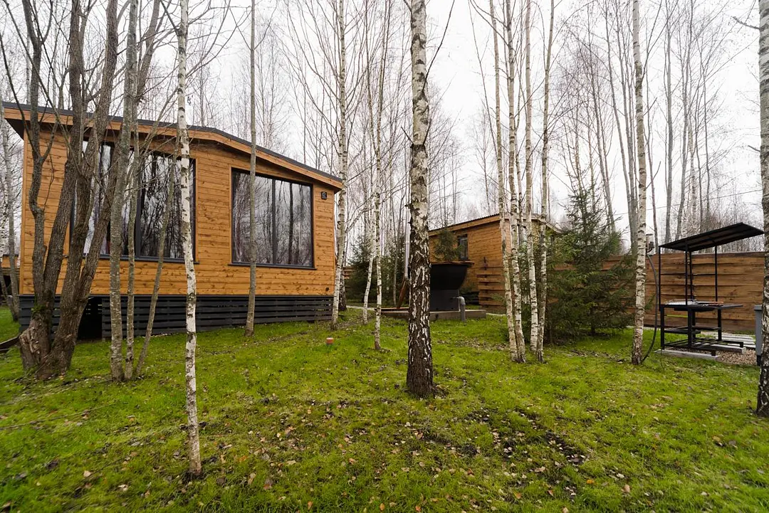 My little forest, Московская область: фото 4