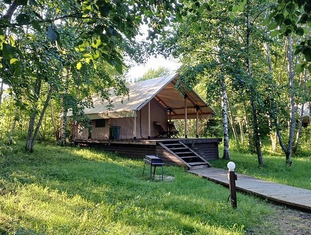 Видомлицы, Новгородская область: фото 3