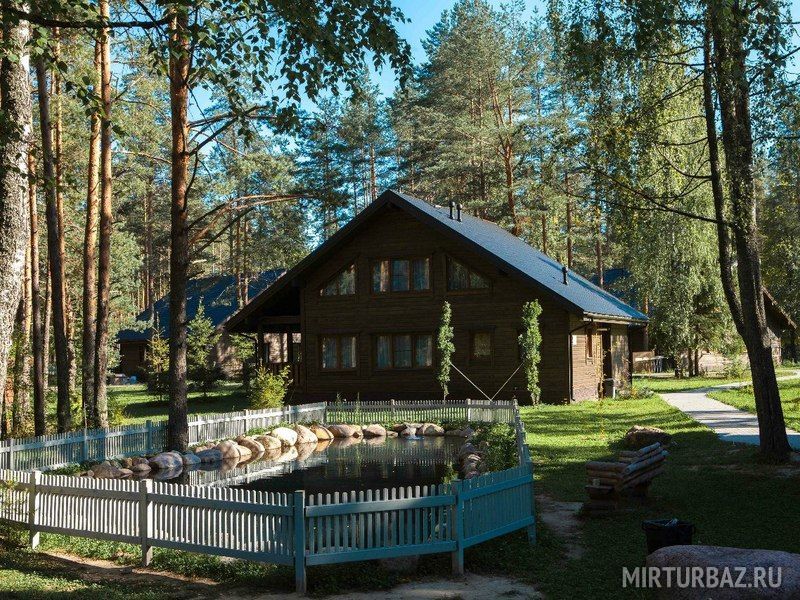 Царство-Королевство, Ленинградская область: фото 2