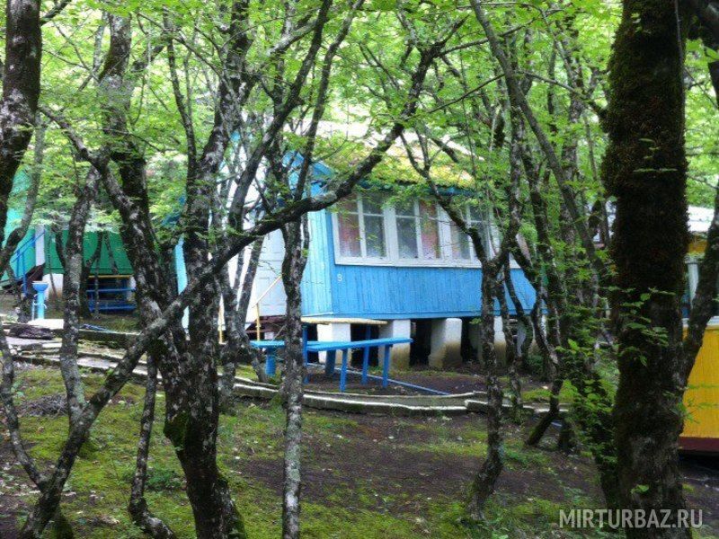 Дубрава, Краснодарский край: фото 3