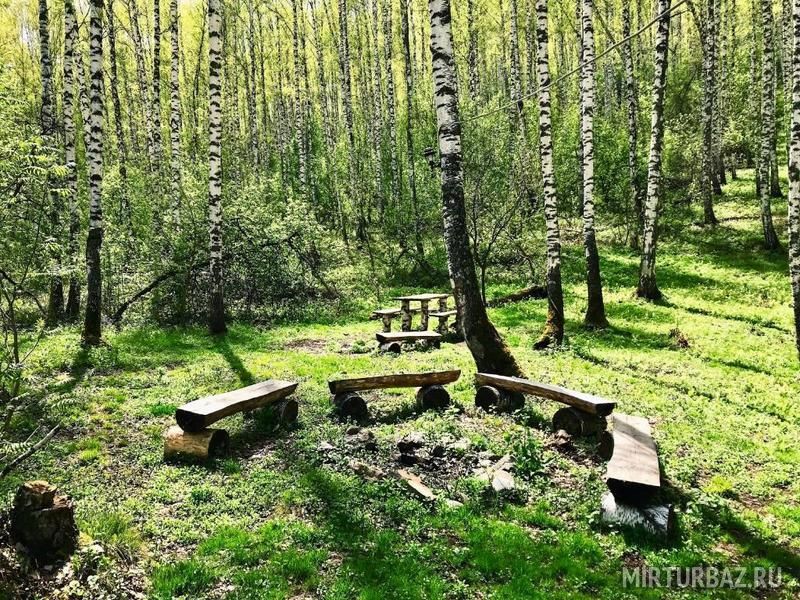 Эко-Тревел, Алтайский край: фото 5