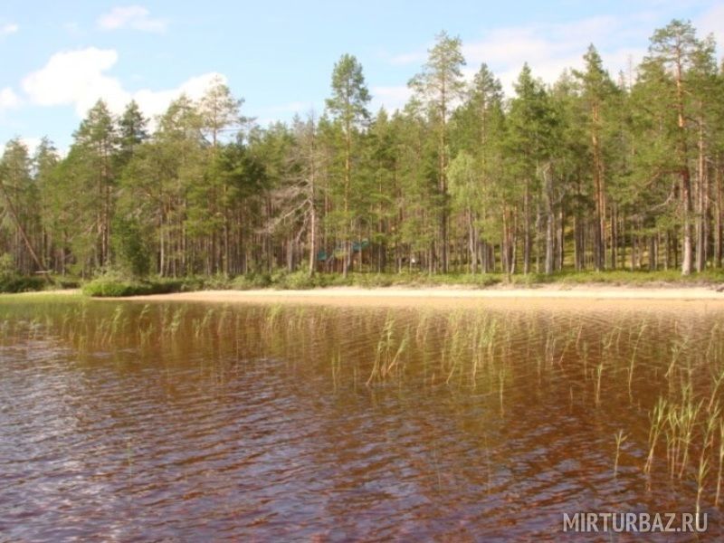 Лесная изба на оз. Ровкульское, Республика Карелия: фото 5