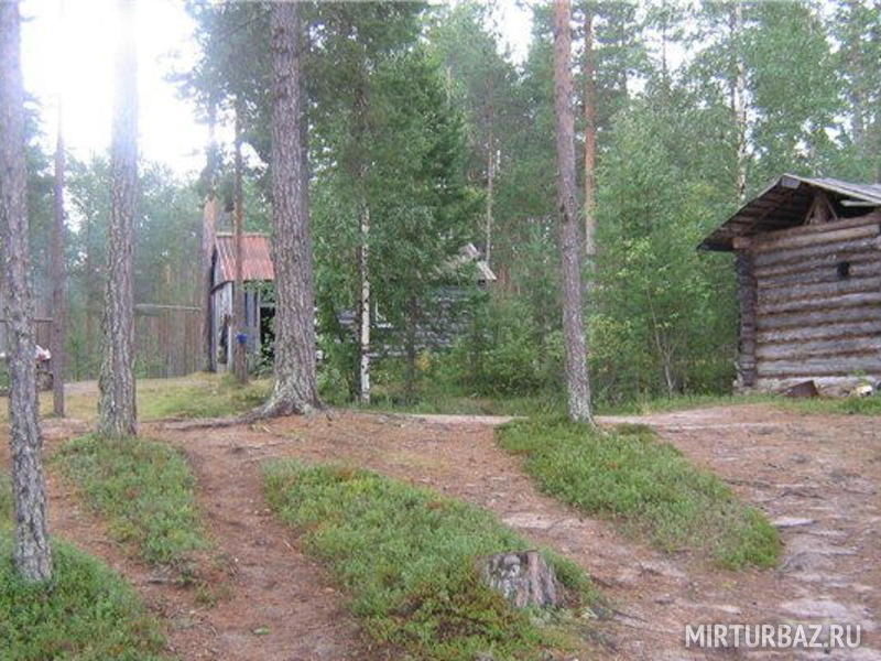 Мыс подснежников, Республика Карелия: фото 4