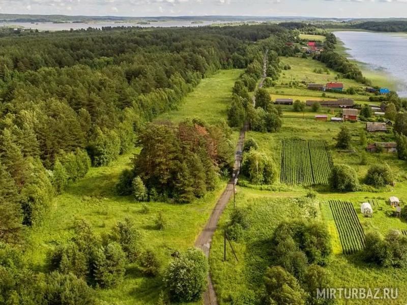 Дом у озера , Республика Карелия: фото 4