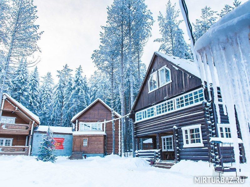 Лесная сказка, Республика Коми: фото 3