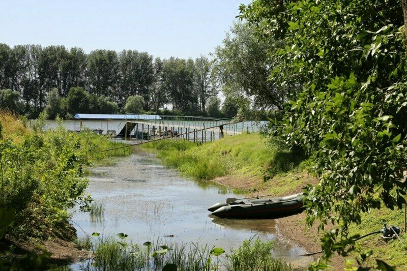 Дельта Трофи, Астраханская область: фото 5