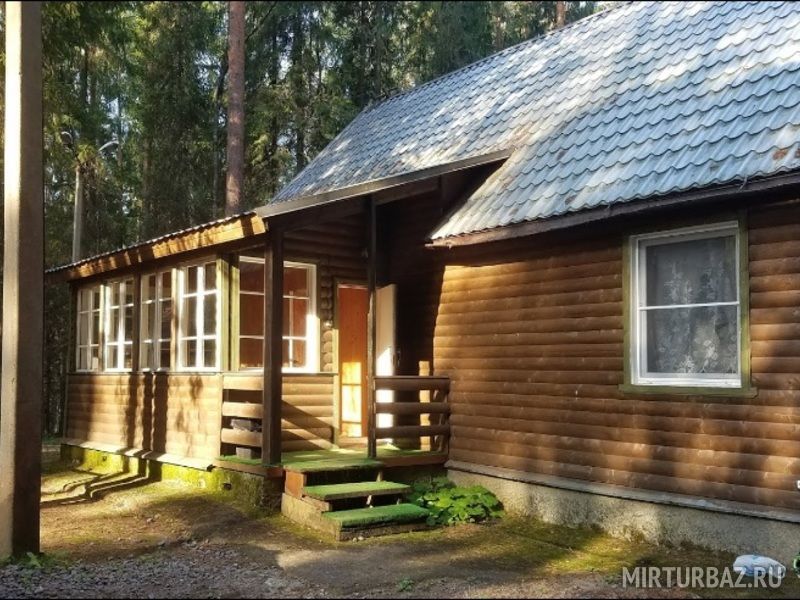 Чародейка, Новгородская область: фото 2