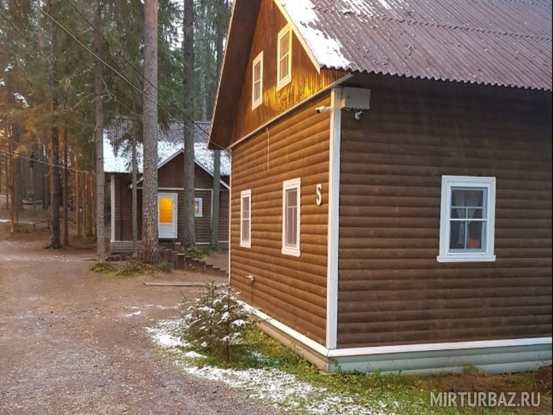 Чародейка, Новгородская область: фото 5