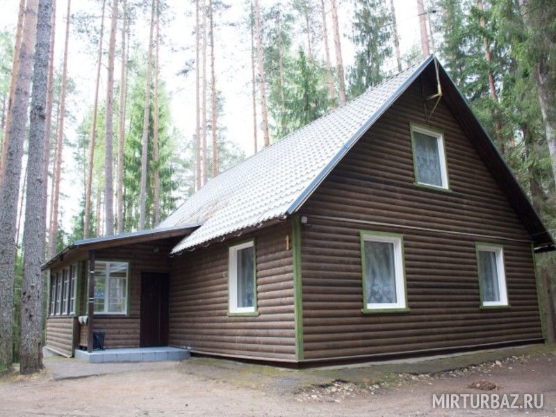 Чародейка, Новгородская область: фото 4
