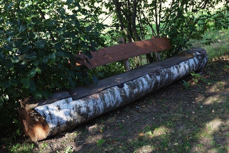 Прошлый век, Архангельская область: фото 2
