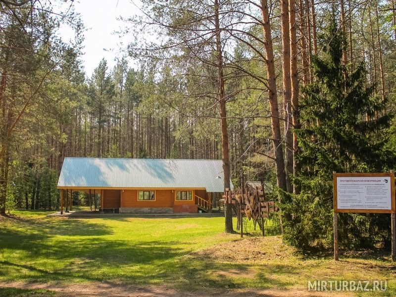 Лесное озеро, Республика Удмуртия: фото 2