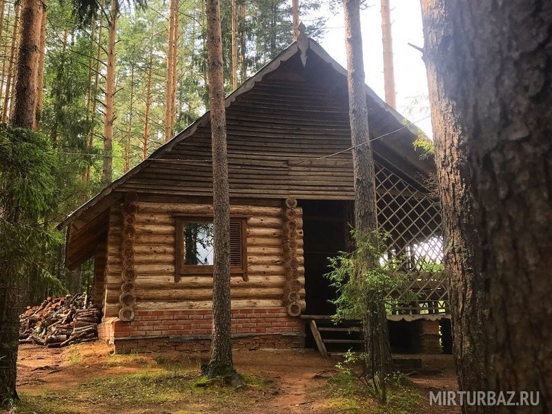 Лесное озеро, Республика Удмуртия: фото 3