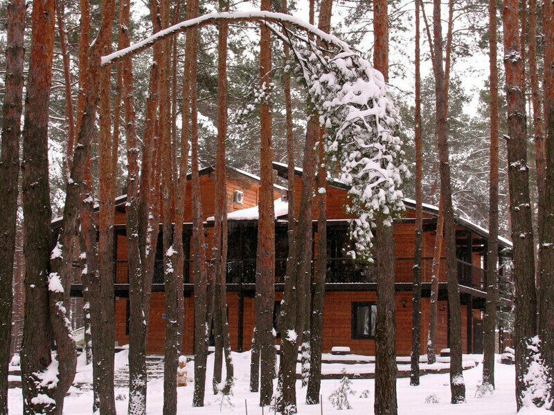 Кафе | Аркадия, Белгородская область