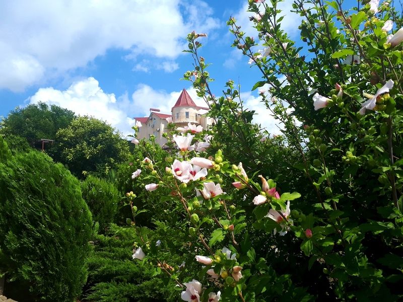Пансионат Шингари, Краснодарский край, Сукко Дюрсо