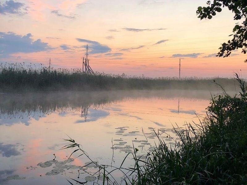 Зеленая поляна, Белгородская область: фото 4