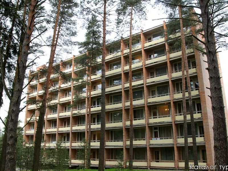 Солнечная поляна, Московская область: фото 2