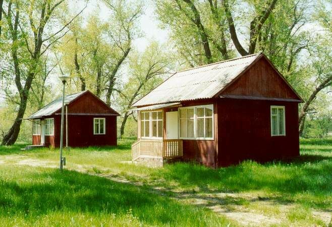 Донские зори, Волгоградская область: фото 5