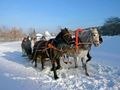 Прогулка