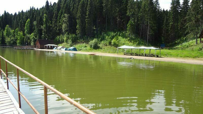 На природе | Парма, Пермский край