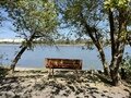 Фото 37 из отзыва о базе отдыха Дон