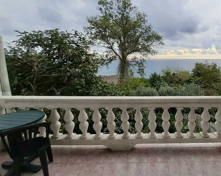 Морская звезда, Краснодарский край: фото 3
