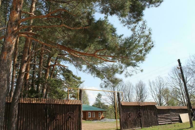 База отдыха Отрада, Республика Мордовия, поселок Ягодная Поляна