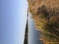 Фото 6 из отзыва о базе отдыха Астра село Чаган