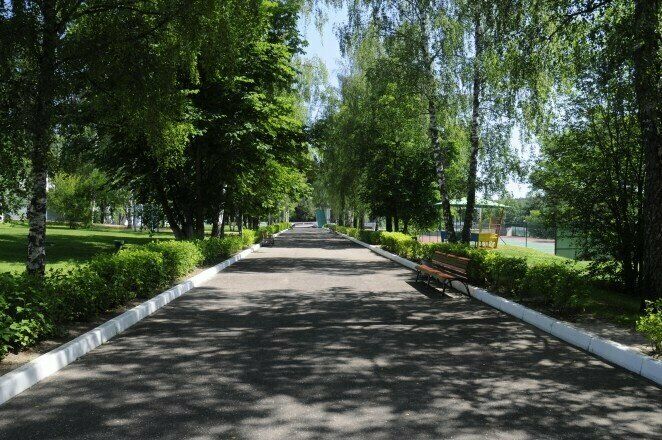 Красная гвоздика , Московская область: фото 5