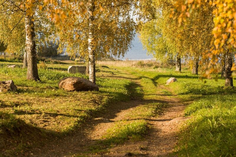 Lake Park, Новгородская область: фото 4