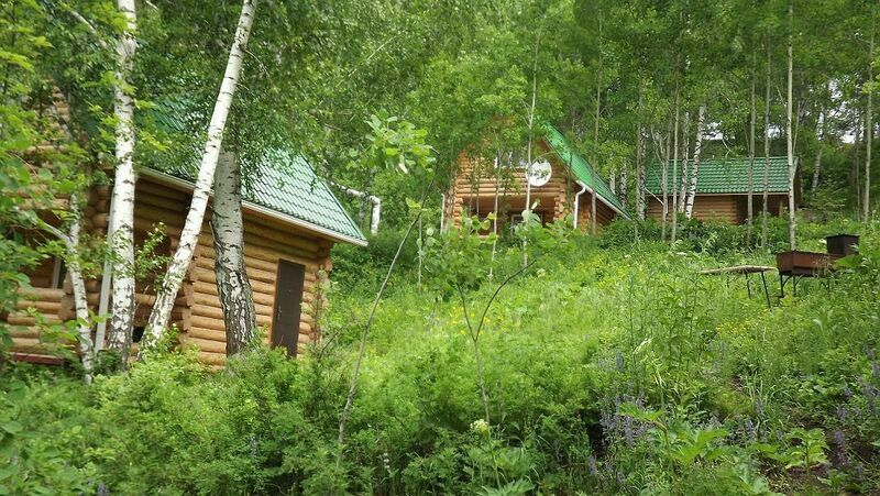 Зелёная территории с свежайшим воздухом | Бегемот, Кемеровская область
