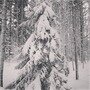 Фото 3 из отзыва о базе отдыха Тонус