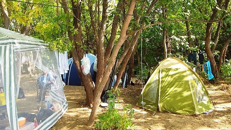 База отдыха и рыбалки Кемпинг на фазенде, Астраханская область, село Гандурино