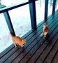 Фото 20 из отзыва о базе отдыха Annilahti (Аннилахти)