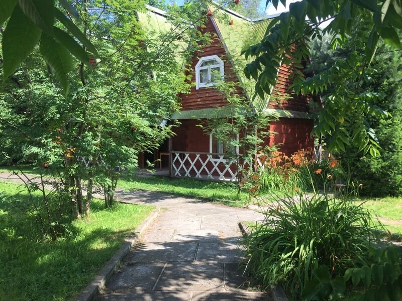 Колибри, Алтайский край: фото 3