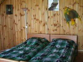 2-х местный домик, База отдыха Хуторок Сова, Кривск
