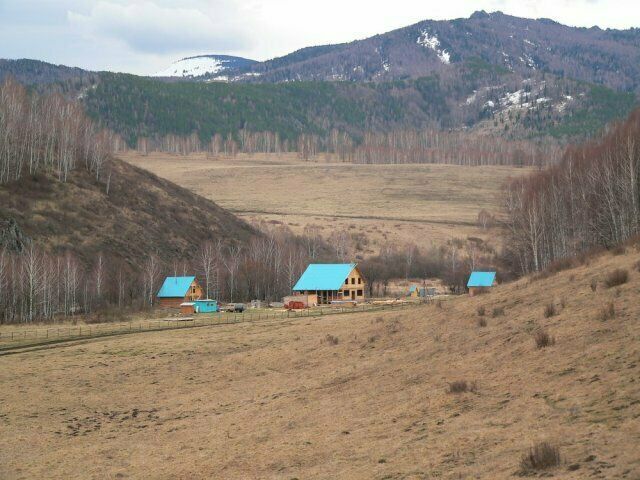 Дикая природа | Баден-Баден, Алтайский край