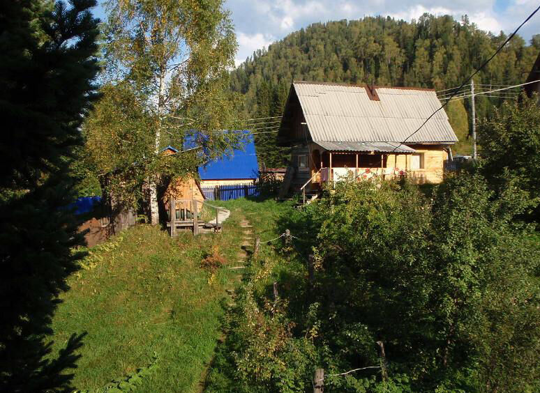 На природе | Кедровый рай, Горный Алтай (Республика Алтай)