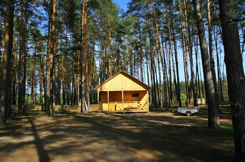 Территория базы | Серебряный, Курская область