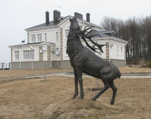 Охотничья база Белоречье, Белгородская область, Алексеевка Алексеевка