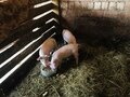 Фото 4 из отзыва о рыболовно-охотничьей базе Посейдон Тревелс