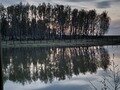 Фото 6 из отзыва об отельном комплексе Лесное