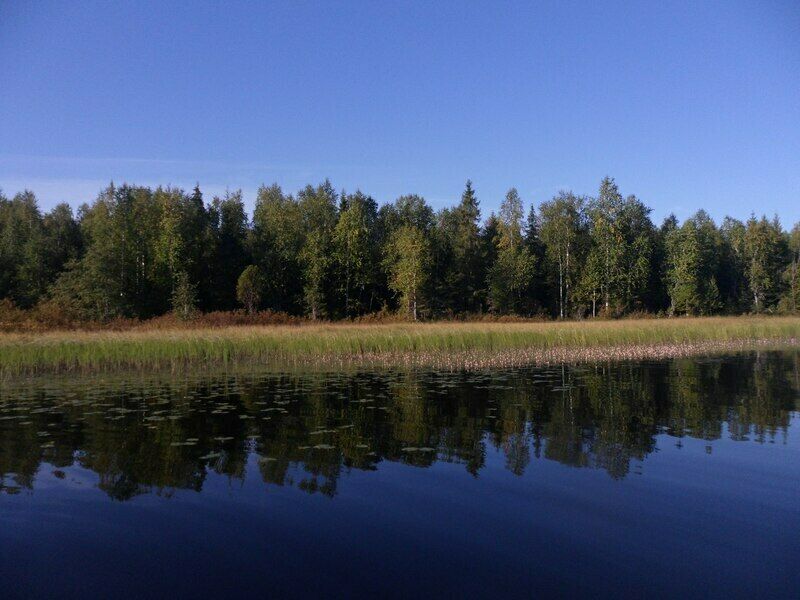 Пейзажи | Верюжское, Архангельская область