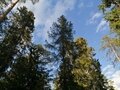 Фото 23 из отзыва о базе отдыха Ильичево