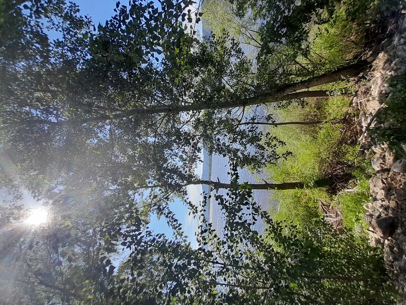 Фото 3 из отзыва о загородном комплексе Алые Паруса
