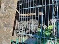Фото 13 из отзыва о загородном комплексе Алые Паруса